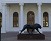 dylan lewis, sculptures, stellenbosch, exhibition, bronze south african art, south african artist,